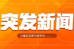 TA記者：尼克斯中鋒米切羅右手小拇指骨折，暫無回歸時間表>>